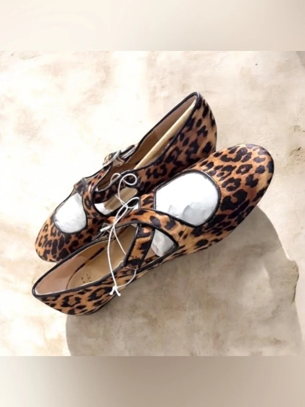 a new day stylish leopard